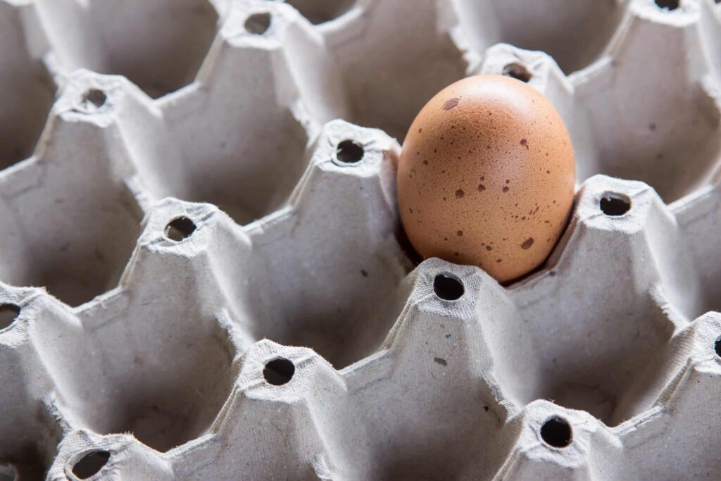 Emagreça com ovo cozido – você pode perder até 14 kg em 2 semanas